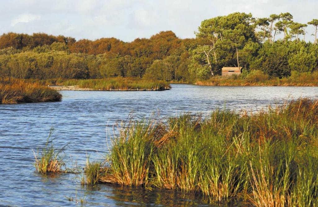 Camping Kost Ar Moor Fouesnant Eksteriør billede